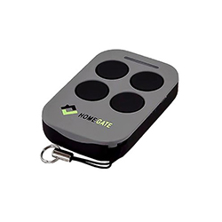 Homegate G01 �����-������ ��